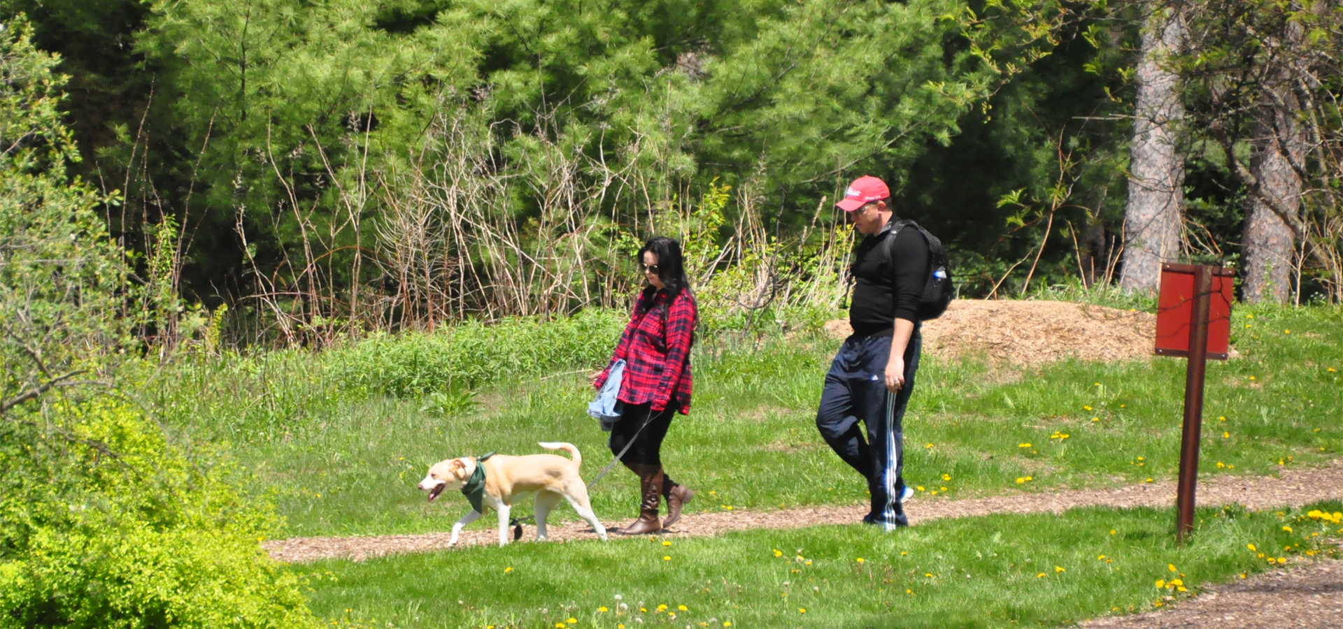 Couple walking their dog on a trail