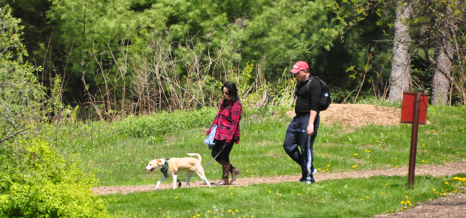 Dog Admission Days The Morton Arboretum