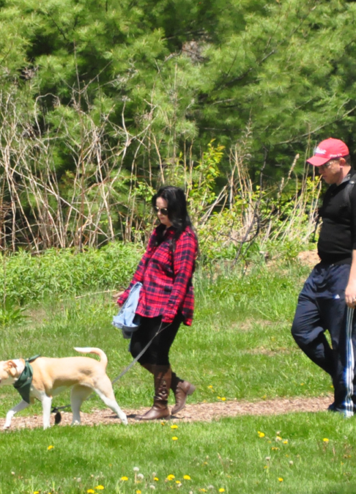 Couple walking their dog on a trail