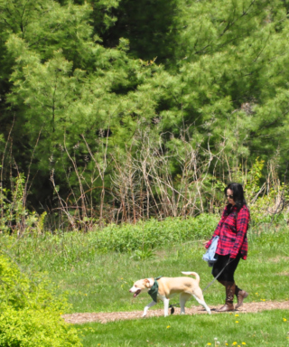 Couple walking their dog on a trail