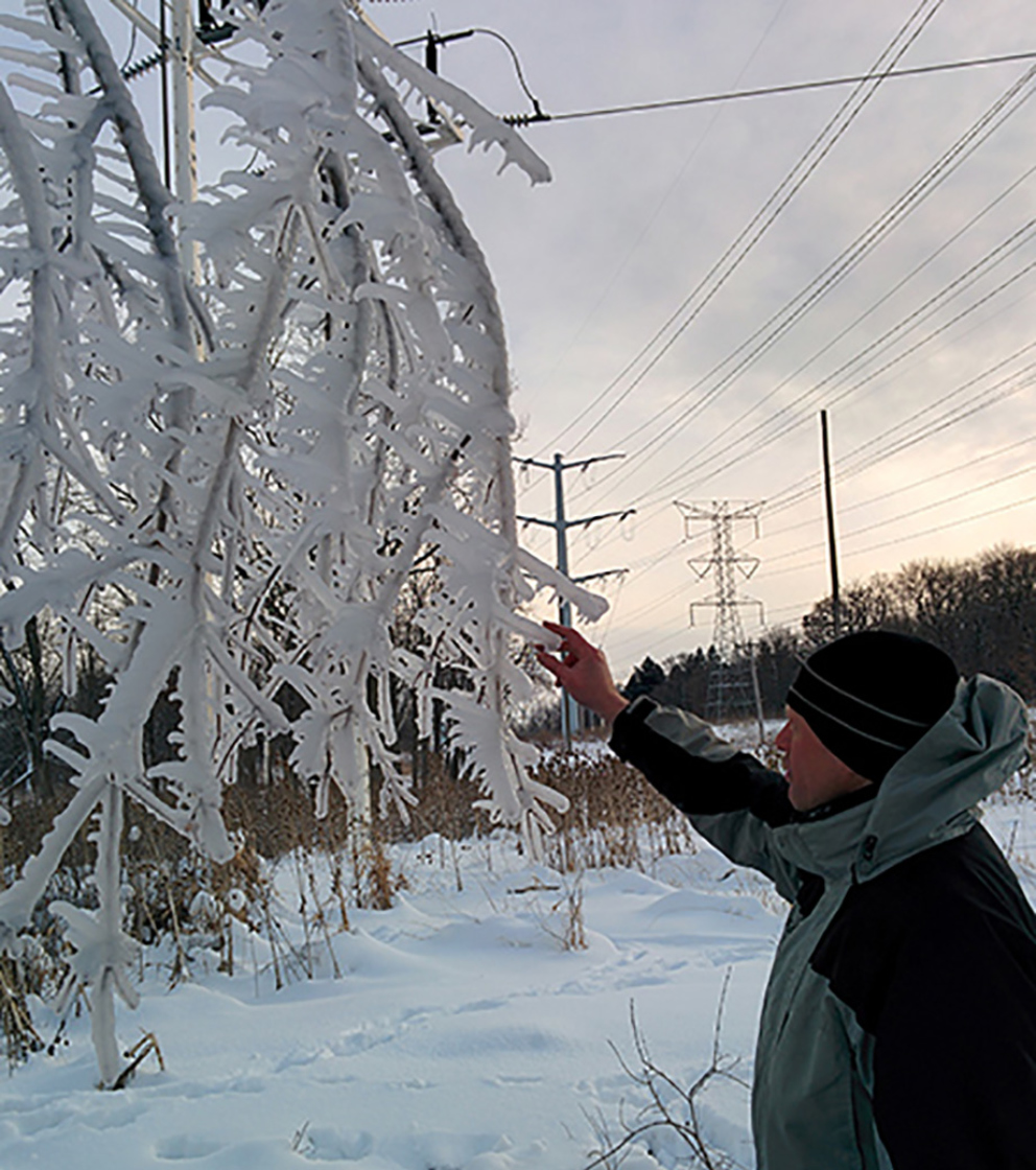 Quantifying and Assessing Ice Storm Damage to Trees | The Morton Arboretum