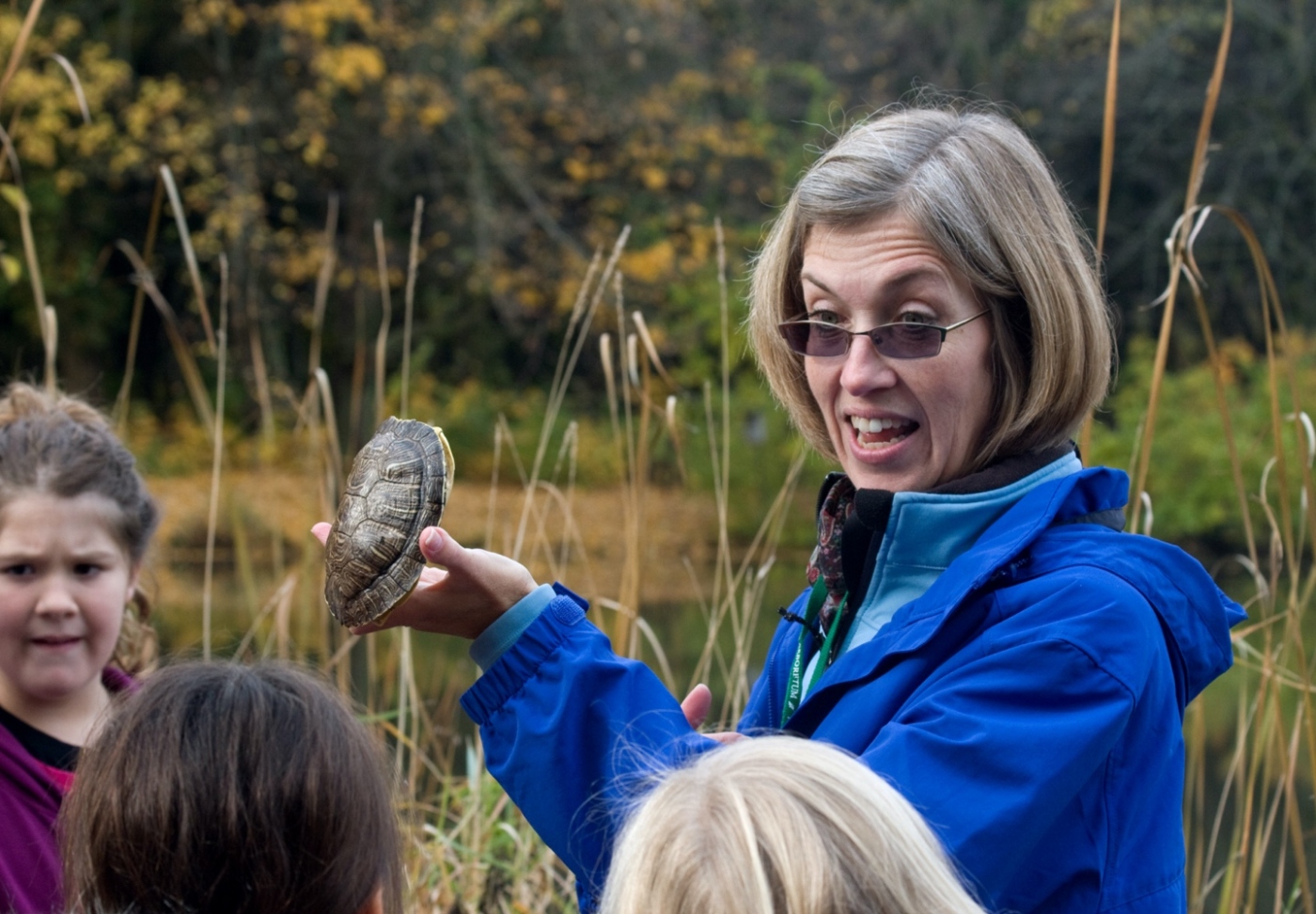 The Morton Arboretum