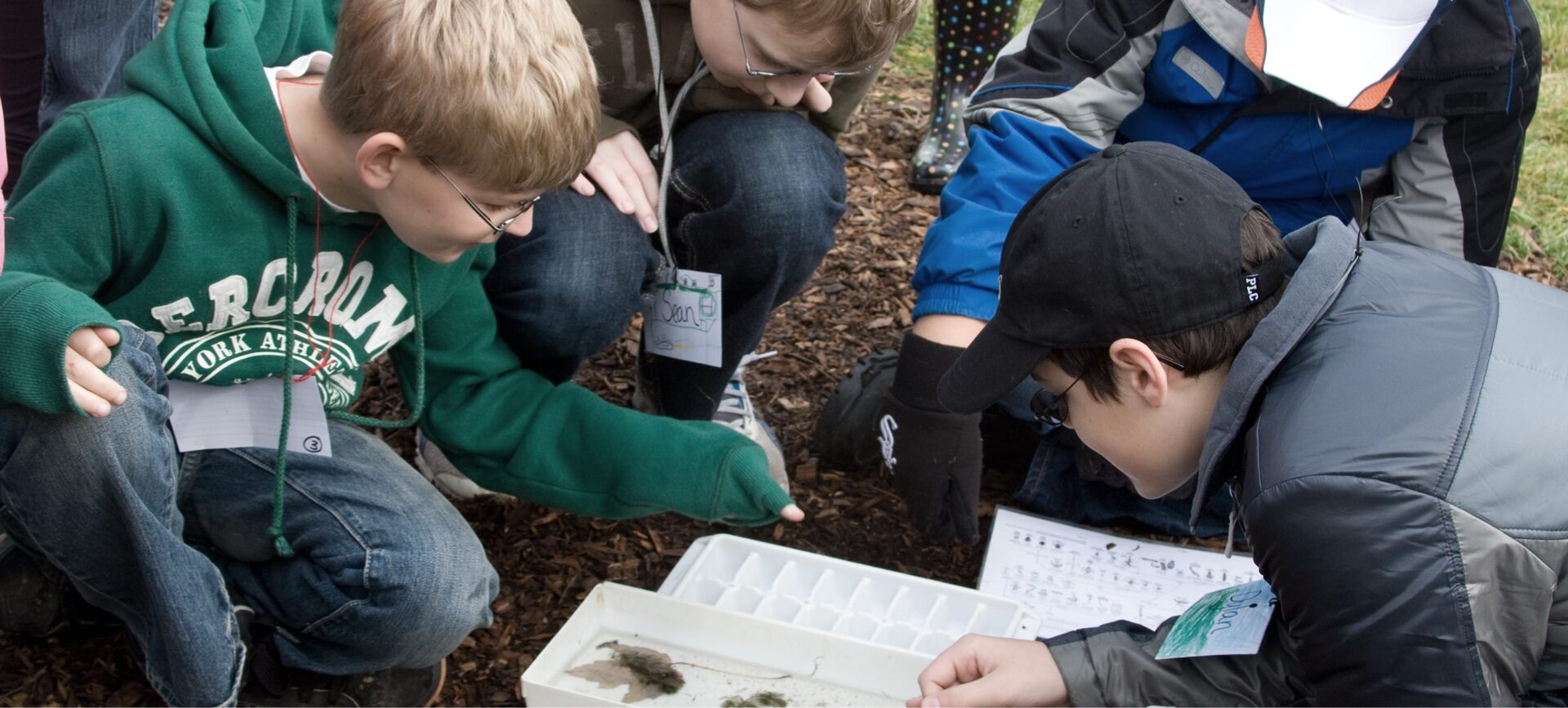 Children knelt on the ground, looking at specimen in a sample of water