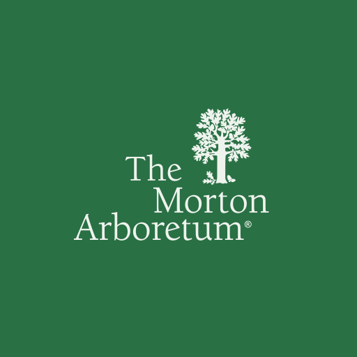 The Morton Arboretum | To plant and protect trees for a greener ...