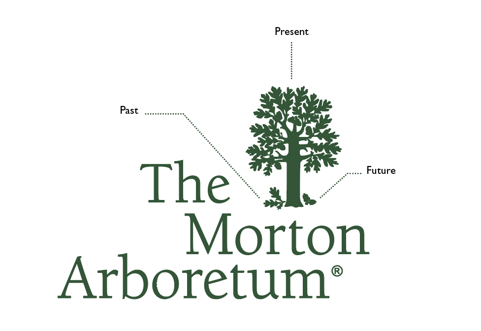 The Morton Arboretum