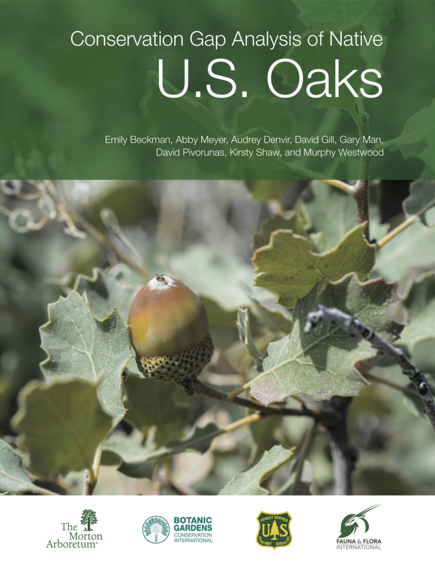 Gap Analysis of Native U.S. Oaks Cover