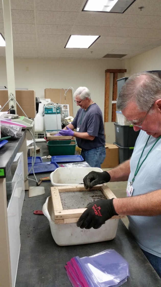 Staff performing research indoors by sieving to see the impacts of controlled burn on soil biogeochemistry