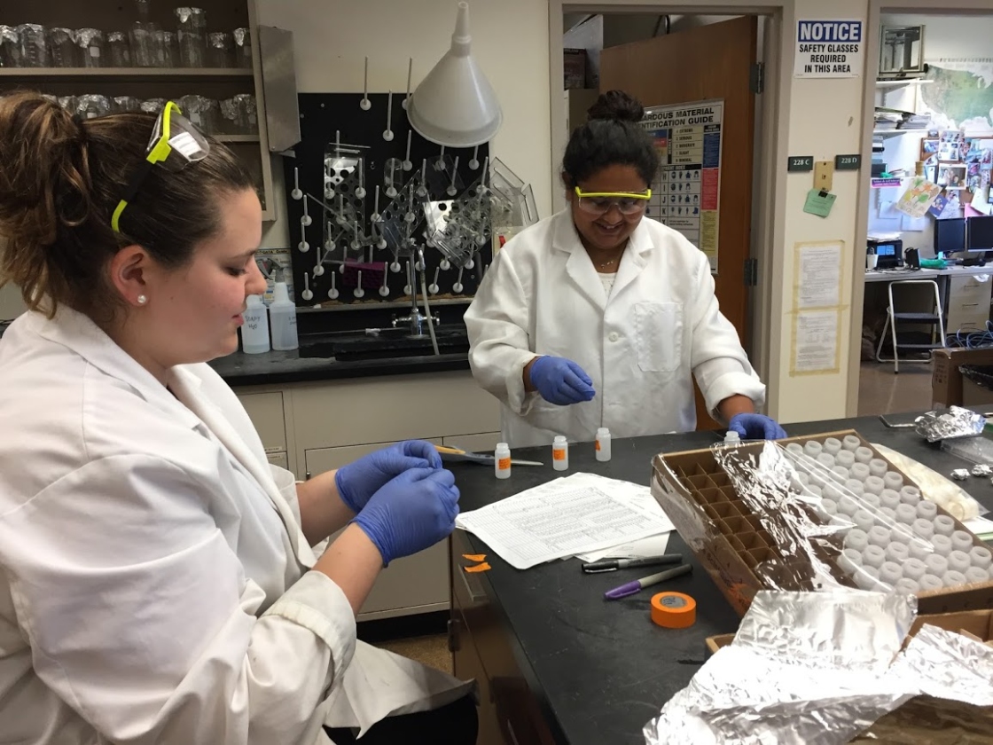 Staff performing lab work for Earth Forest Fertilization Experiment