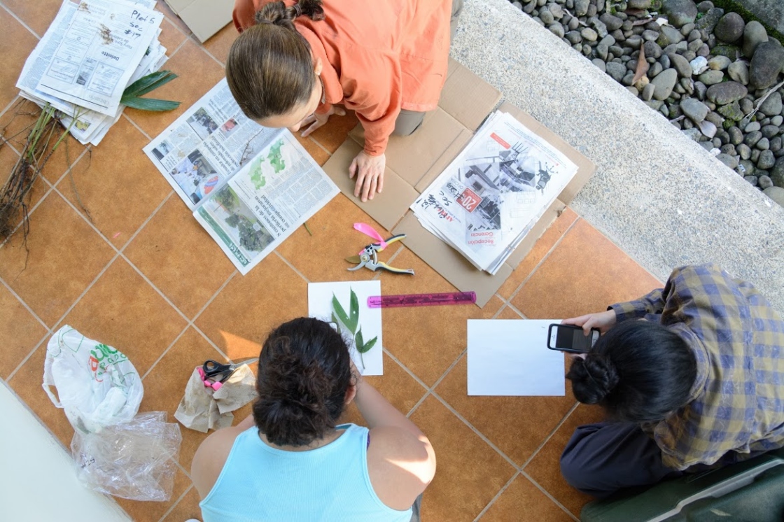 Staff pressing plants for Earth Forest Fertilization Experiment