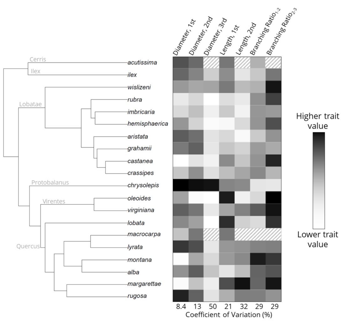 Chart depicting species and their level of trait values