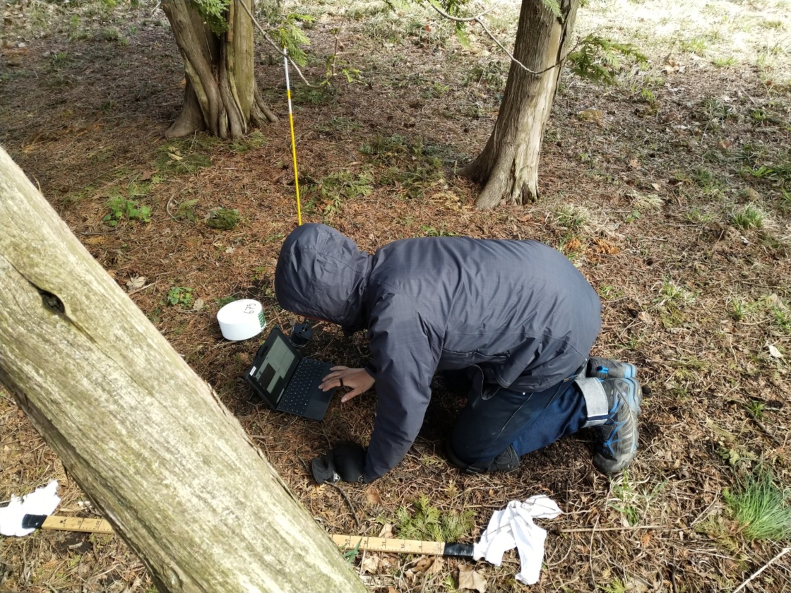 Luke McCormack working on the ground with a computer looking at fine-roots