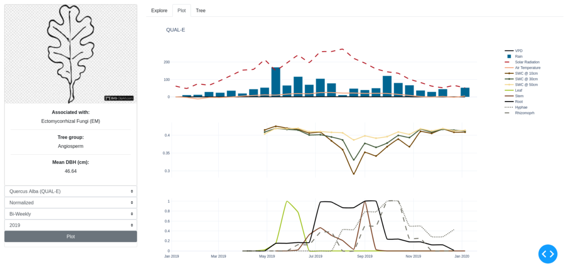 Chart about ectomycorrhizal fungi