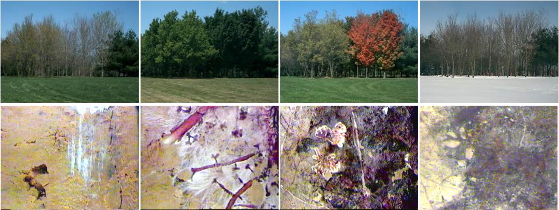 Fine-root dynamics aboveground and belowground linkages in forest ecosystems