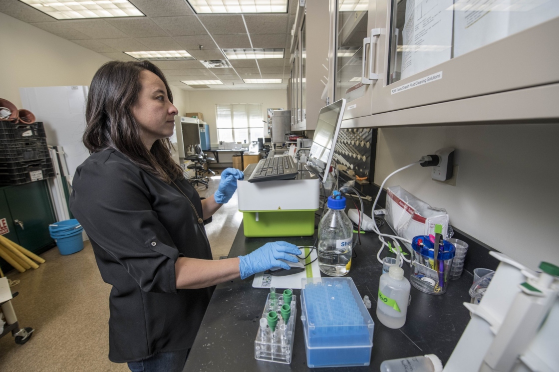 Researcher working on the flow cytometer
