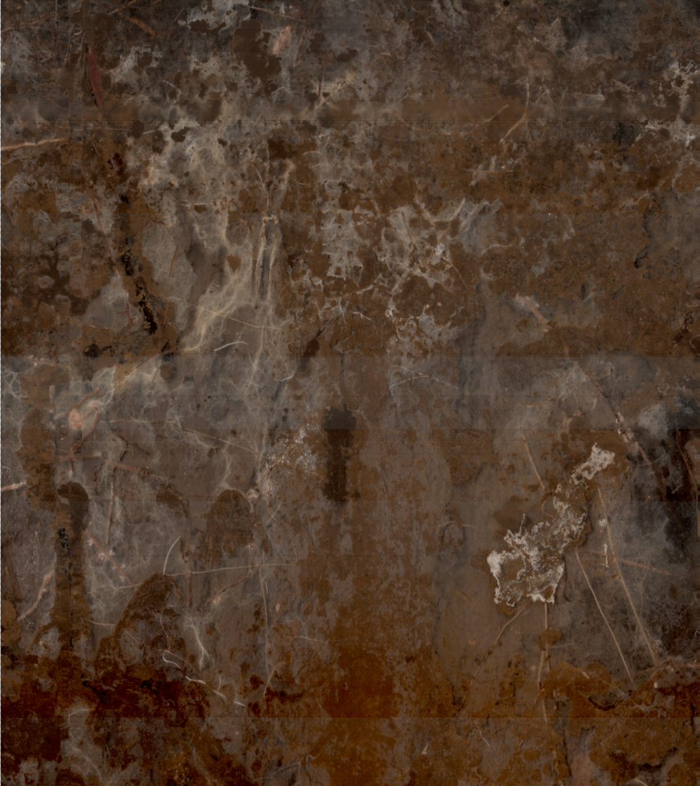 Underground photo showing roots growing