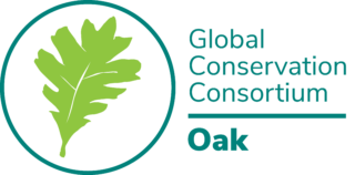 The Morton Arboretum