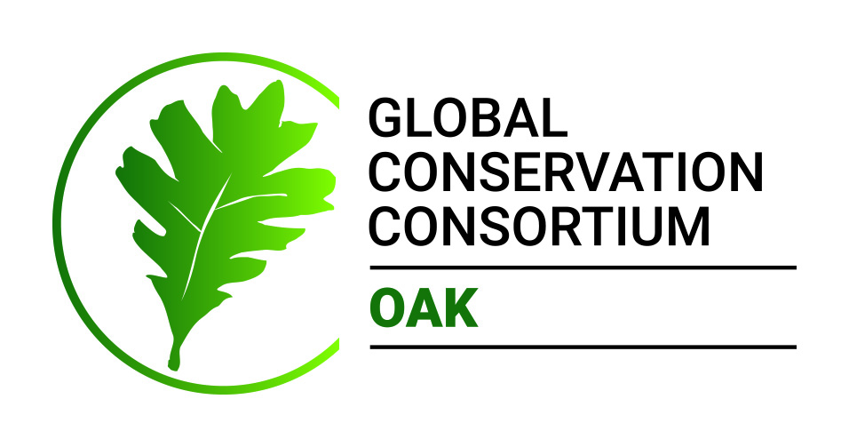 Global Conservation Consortium for Oak Logo