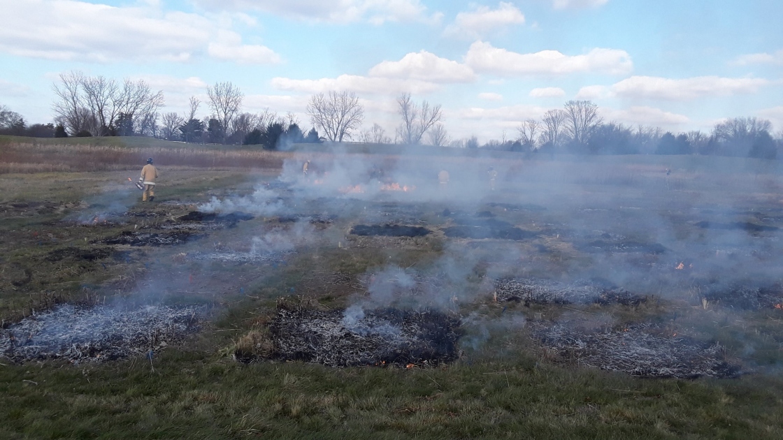 Prescribed burn of tallgrass prairie