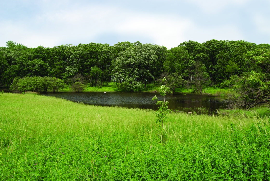 The Morton Arboretum