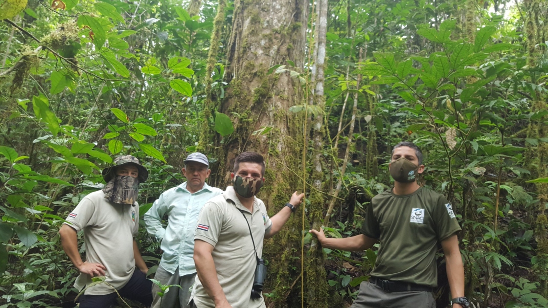 A group of people collecting acorns