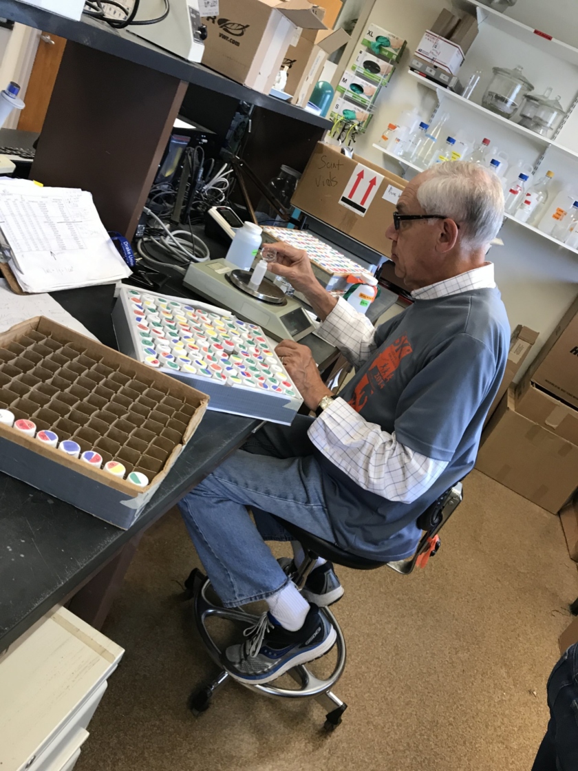 The Morton Arboretum