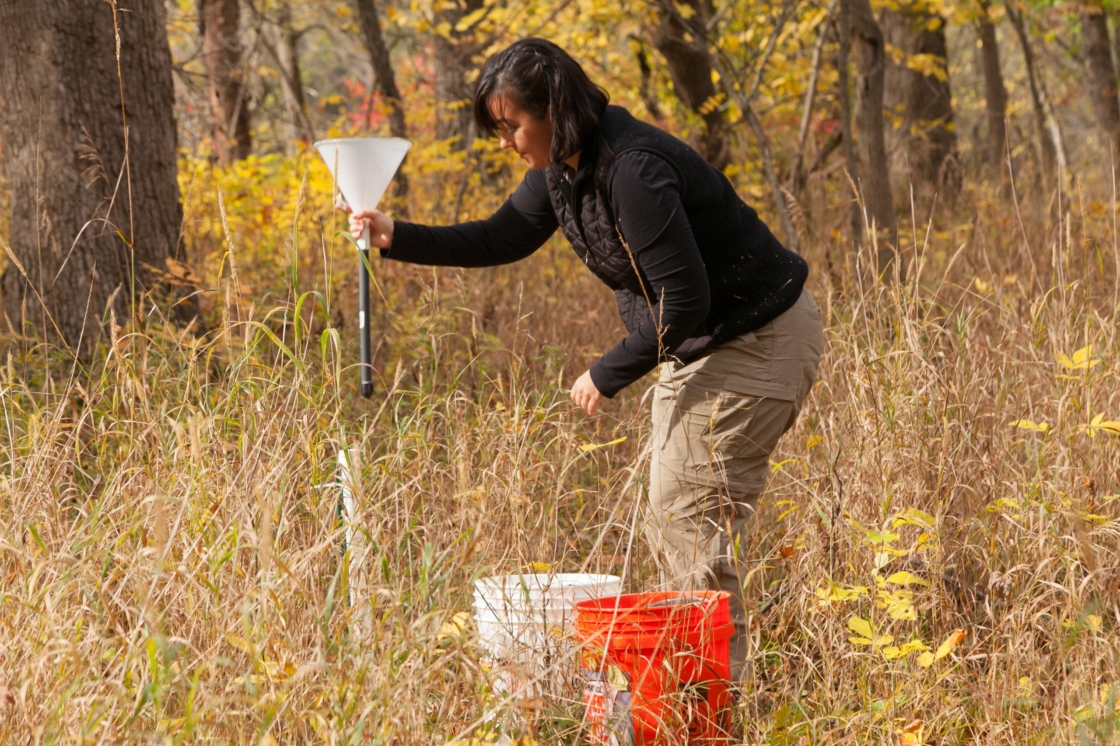 The Morton Arboretum