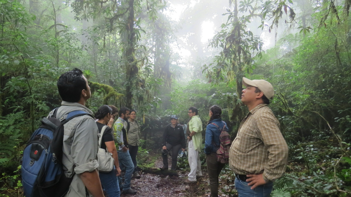 Oak of the Americas Conservation Network in Honduras