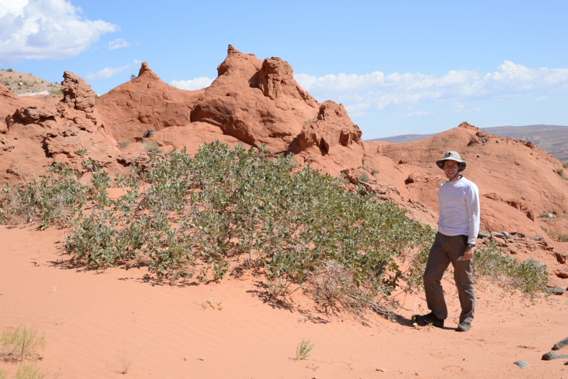 Sean Hoban with a havardii oak on rocks in the desert