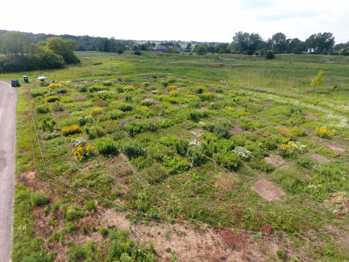 Aerial shot as the tallgrass prairie begins to grow