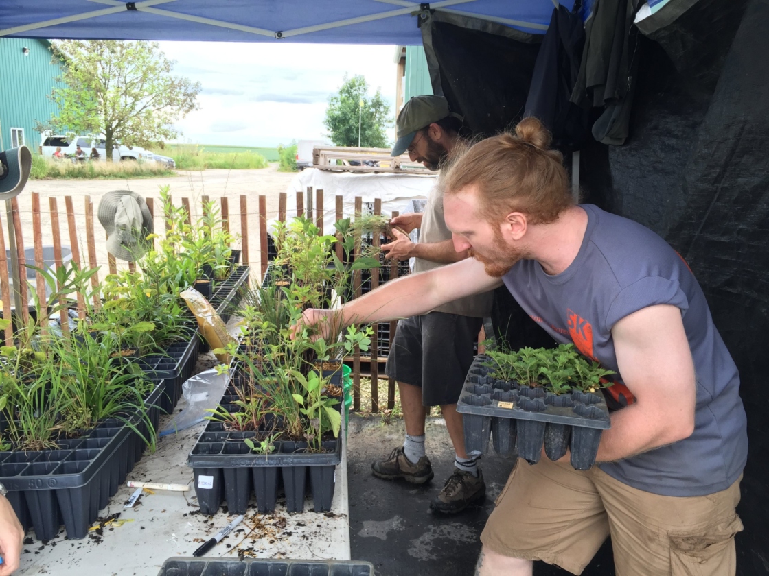 Two people choosing the plants to be used in the prairie