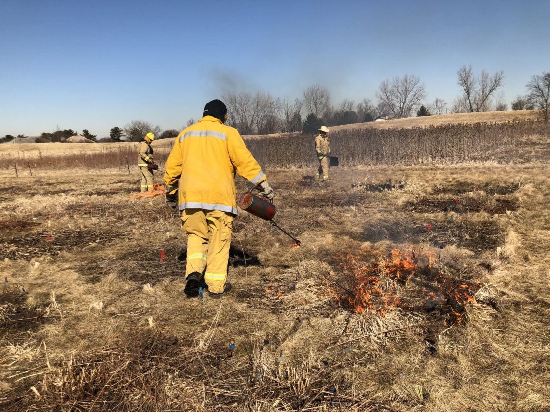 People performing a prescribed burn