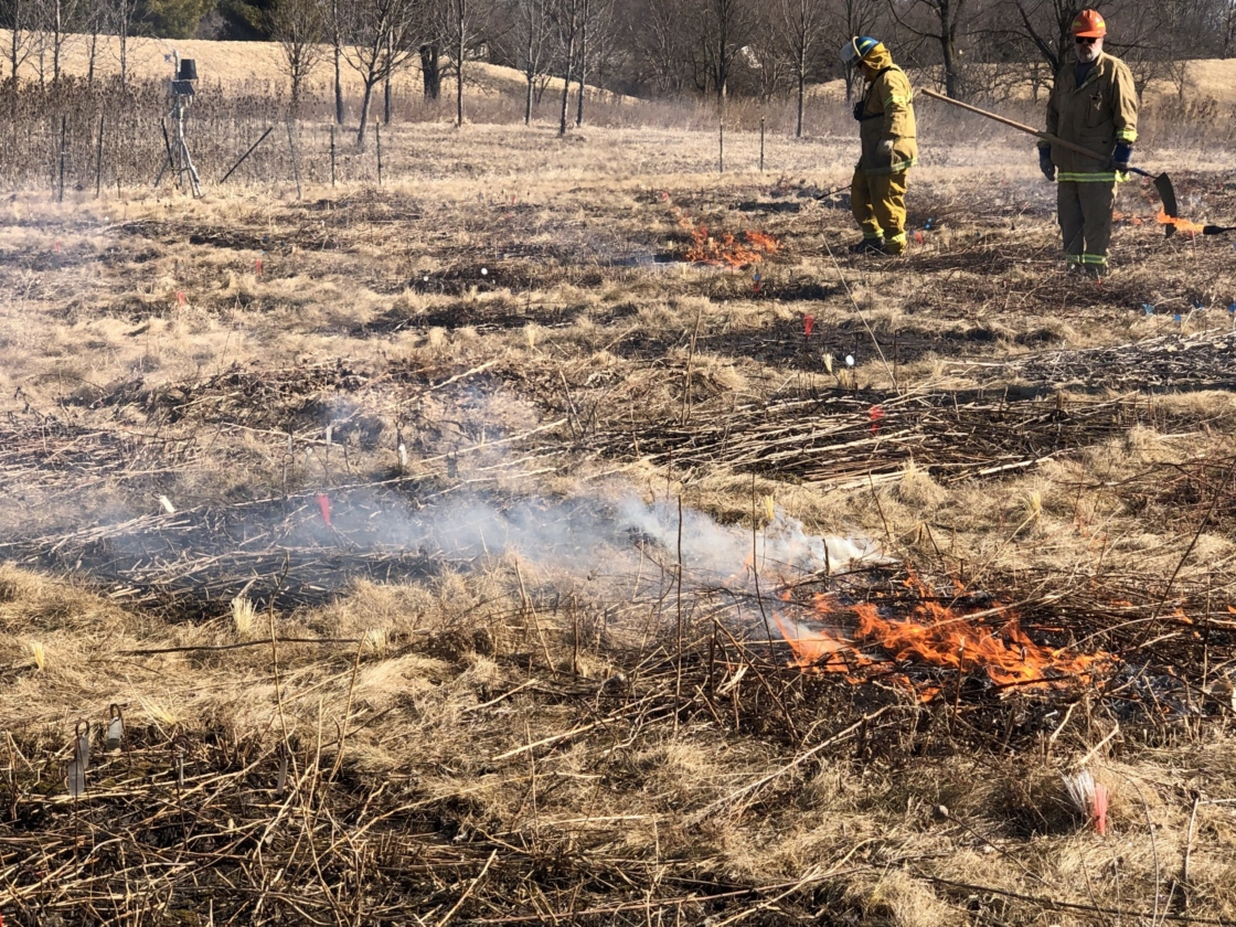 People performing a prescribed burn