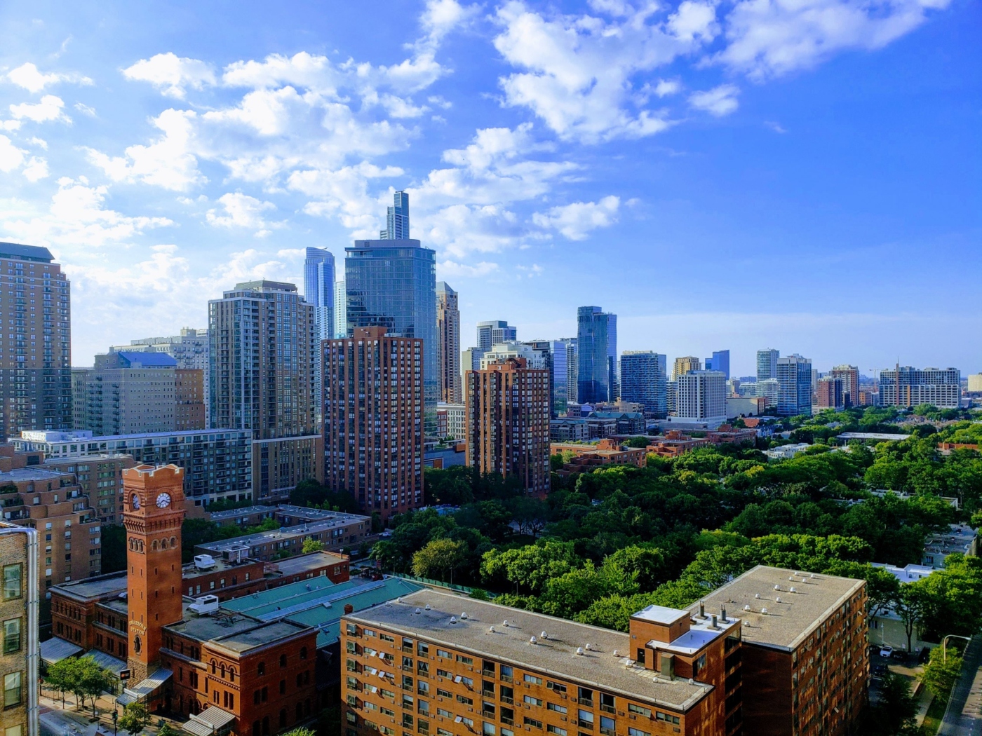 Chicago skyline with trees in summer
