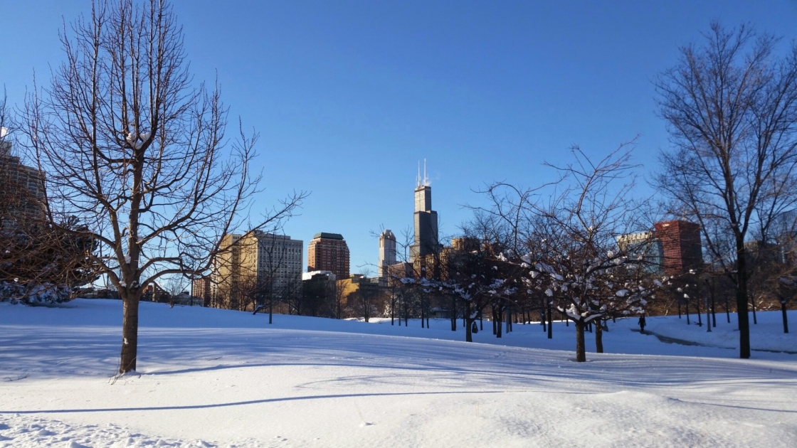 Chicago skyline with trees in winter