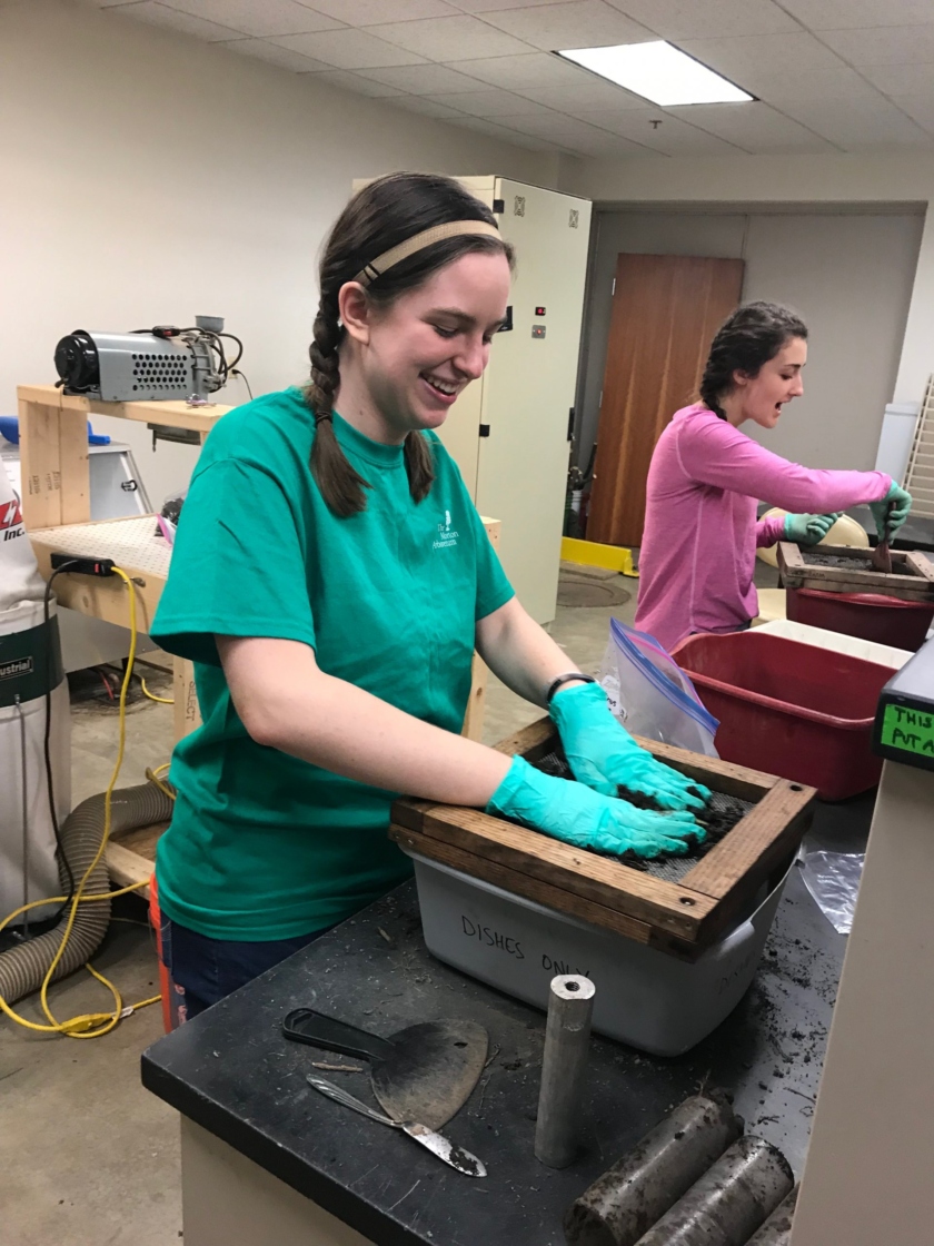 The Morton Arboretum