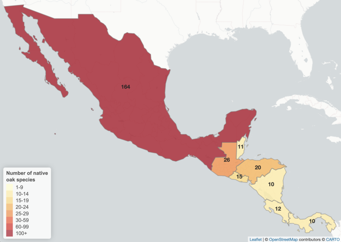 Map of native oaks in Mesoamerica Mexico