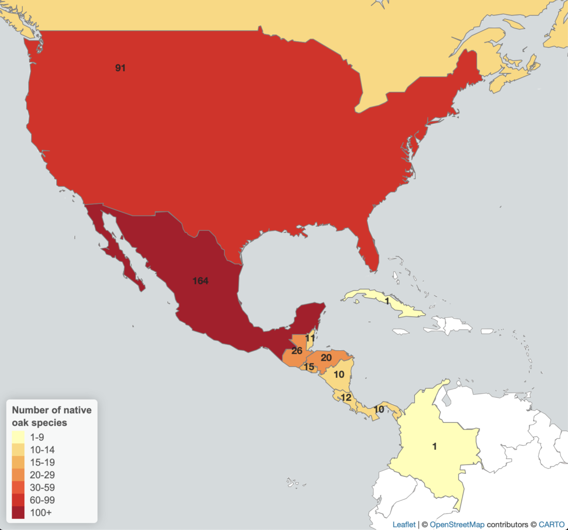 Map of native oaks in North America