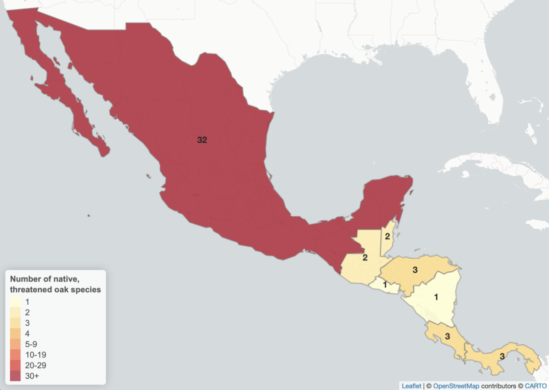 Map of threatened oaks in Mesoamerica Mexico