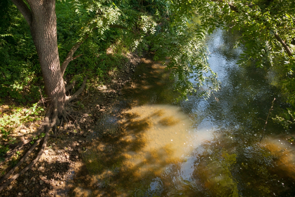 Dupage river before restoration