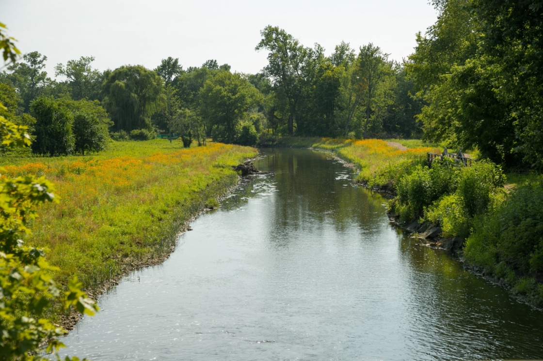 DuPage River Restoration  The Morton Arboretum