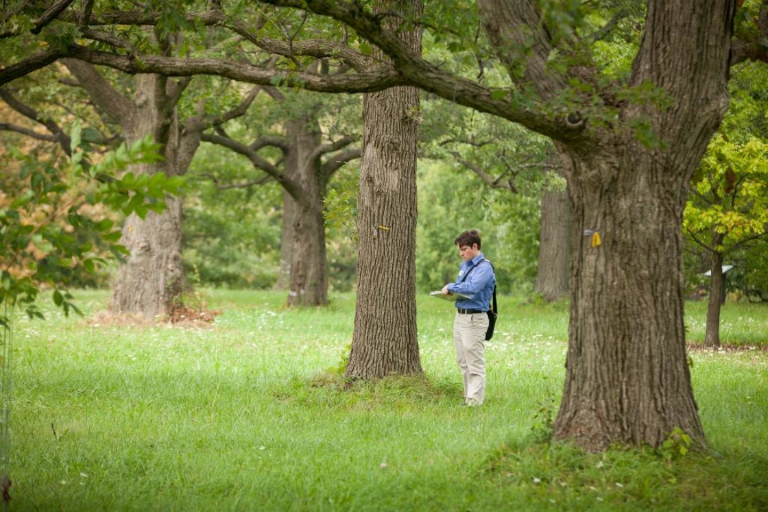 Staff Matt Lobdell in the Oak Collection