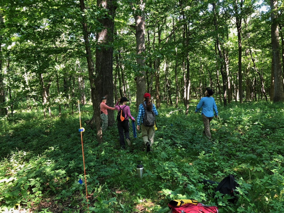 Staff research in living collections