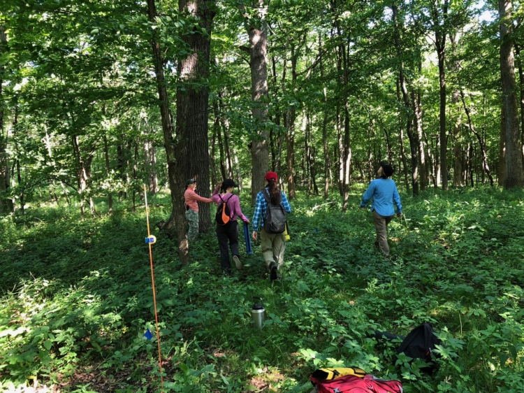 Staff research in living collections
