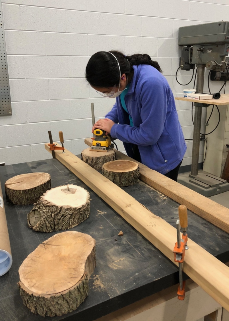 Staff sanding samples of tree wood