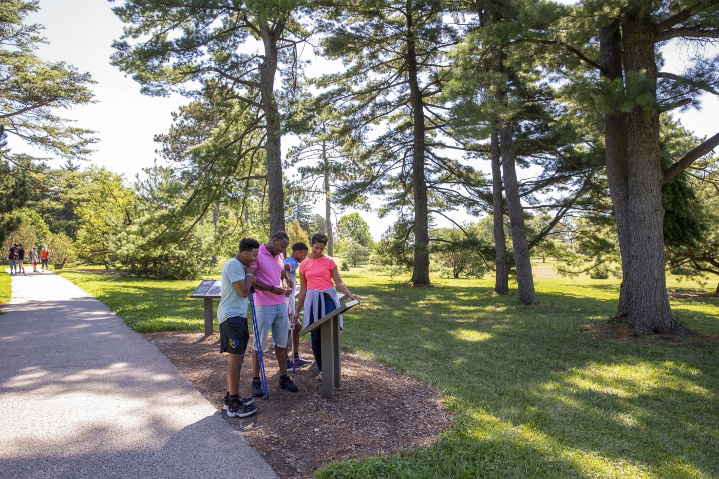 Family reading an educational panel in the conifer collection.