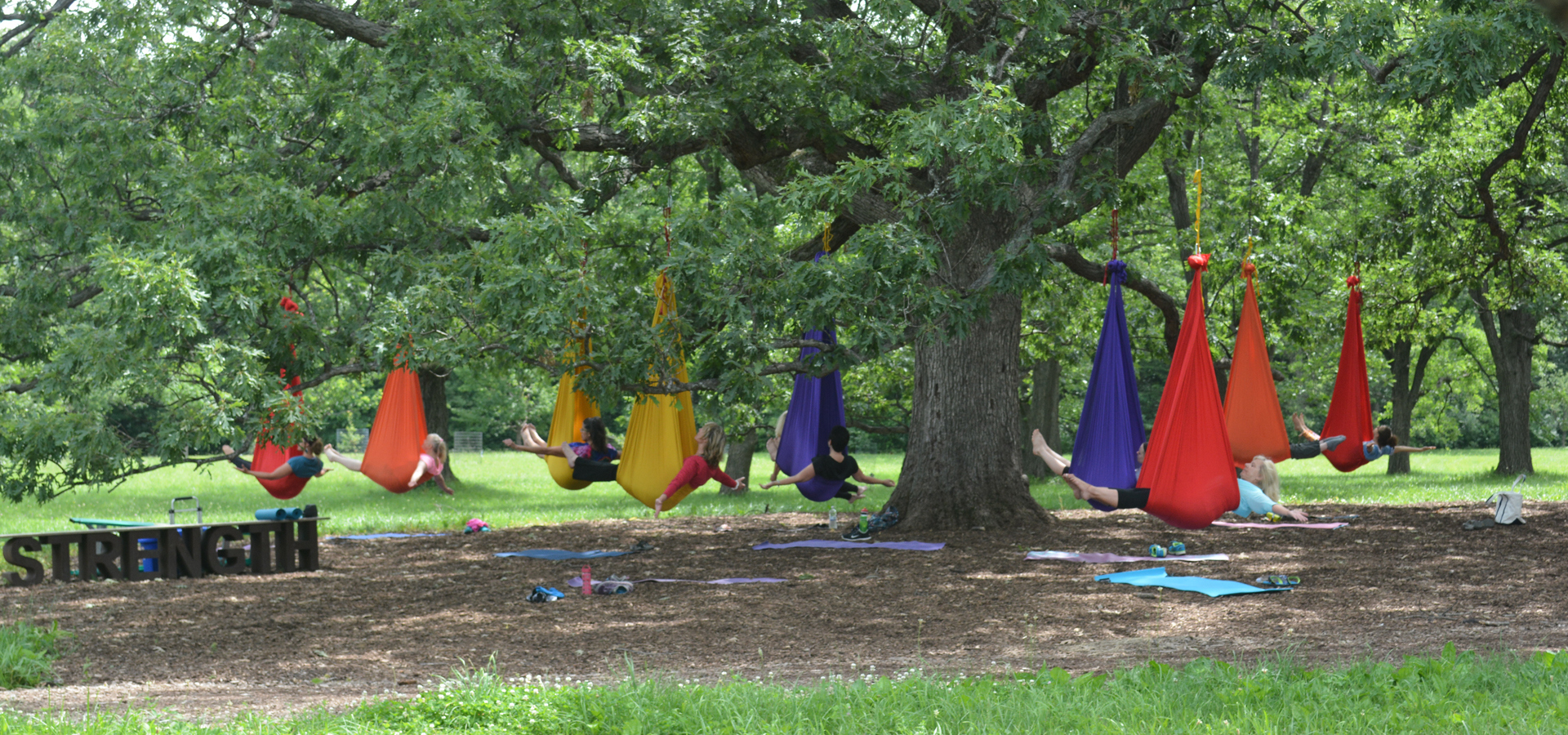Aerial yoga in the oak collection in summer