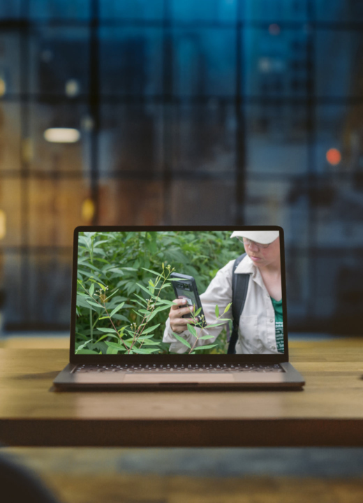 Photograph of a desk and laptop screen displaying a photo of a student using a smartphone to identify a plant