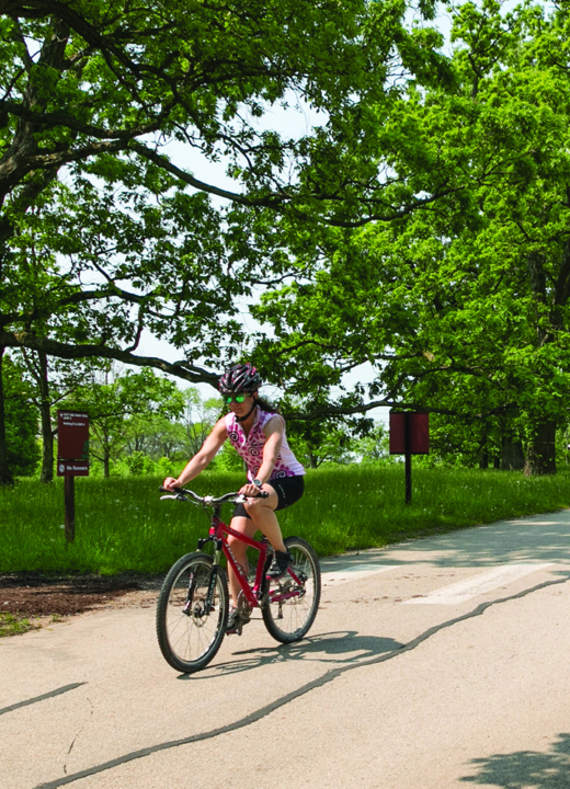 Woman biking in the oak collection in summer