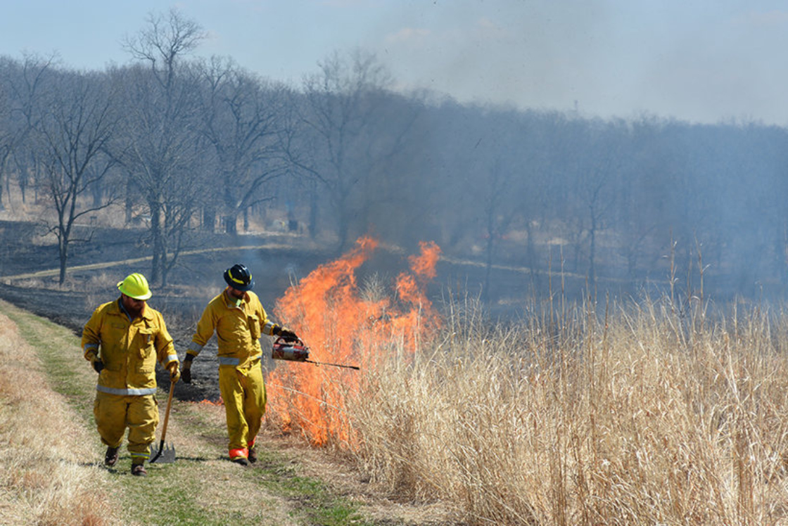 Controlled burn in the prairie