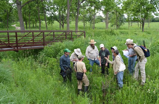 An education class looks at sedges in the prairie